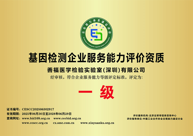 qualification2
